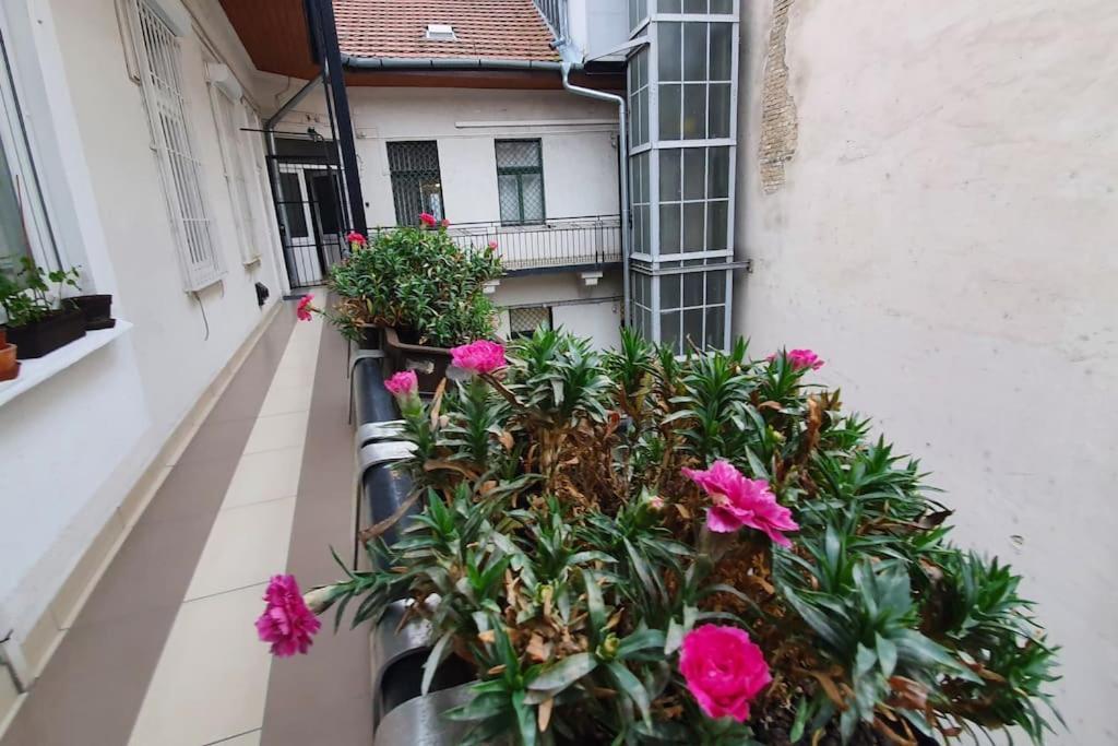 Violet Apartment With Air Condition Budapest Eksteriør bilde